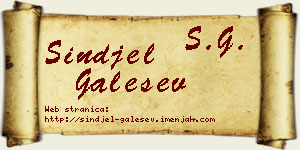 Sinđel Galešev vizit kartica